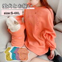 \お買い物祭:全品P5+5%OFF/犬 服 ペットと飼い主さんセット ドッグウェア お揃い 親子服 親子お揃い Tシャツ スウェット ペットと飼い主お揃い 小型...
