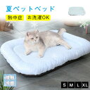 \お買い物祭:全品P5+5%OFF/ペットベッド 夏用 猫 ベッド 犬ベッド ひんやりマット クッション 夏 冷感 冷却マット 丸洗い 柔らかい ひんやり ペット用品 夏用 マット 猫用 小型犬 中型犬 ペットベッド クッション 猫ベッド 犬 暑さ対策 涼感 柔らかい