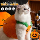 \お買い物祭:全品P5+5%OFF/冬ペット用(猫犬) ハロウィン ペット服 かぼちゃ 肌触りの良い 可愛い おしゃれ 暖かい