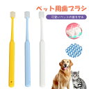 【★期間限定:500円OFFクーポン!】ペット用歯ブラシ 柔らかい 歯と歯ぐきを傷つけにくい 柔らかい毛 ペット用高級歯ブラシ ペット用品 愛犬 小型犬 超小型犬 中型犬 家族 猫 ネコちゃん 歯のケア 口腔ケア 感染 炎症 歯周病 歯周病予防 健康 口臭除去 便利(4)