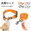 \お買い物祭:全品P5+5%OFF/犬 首輪 ソフト 軽い リード おしゃれ 痛くない リードセット やわらかソフトパッド 丈夫 ペット用品