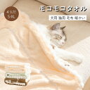 \お買い物祭:全品P5+5%OFF/ペットベッド ブランケット ペット用毛布 犬 猫 毛布 モコモコ 冬寒さ対策 ペット用品 犬猫ペット用マット 犬 猫 グッズ暖かいタオル お昼寝 防寒 冷房対策 四季適用 寝具 保温 ふわふわ 洗える 犬 猫 小動物 ペット用 あったか ブランケット