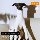 \お買い物祭:全品P5+5%OFF/イタグレ 服 冬 イタグレ 服 着せやすい 暖かい おしゃれ ペット用品 イタグレ 服 冬服 犬服 春 秋 冬 中型犬 イタグレ 服 秋冬 肌に優しい