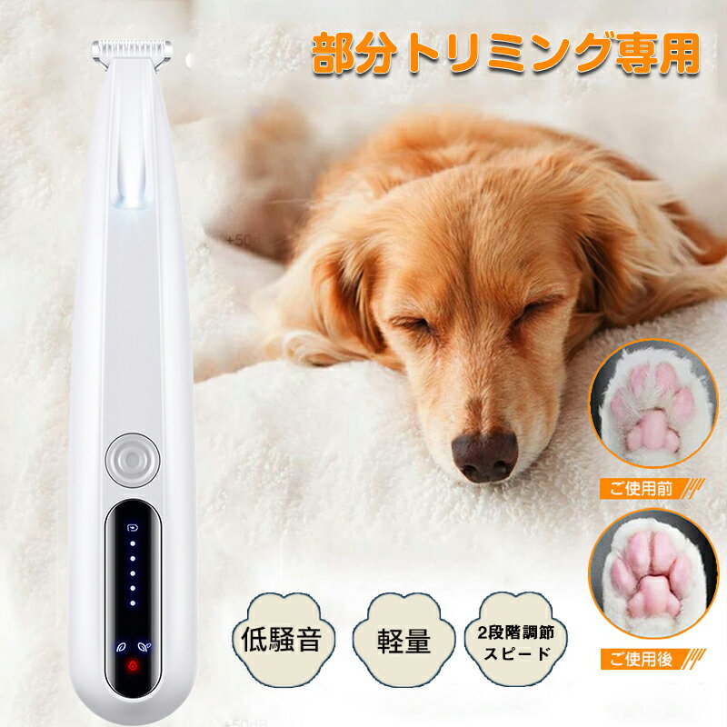 P5+900OFF6/20()23:59ۥڥå Хꥫ  ڥåѥХꥫ  ǭ żؿϤĤ ɥ쥹 ǭ 鿴...