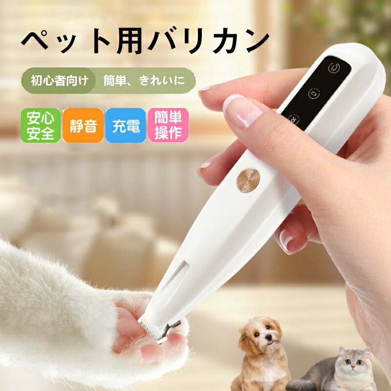 ڤ㤤ʪסP2+1000߳2701:59ۥڥåȥХꥫ ­ USB ż ڥåѥХꥫ ؿϤĤ ڥå ...