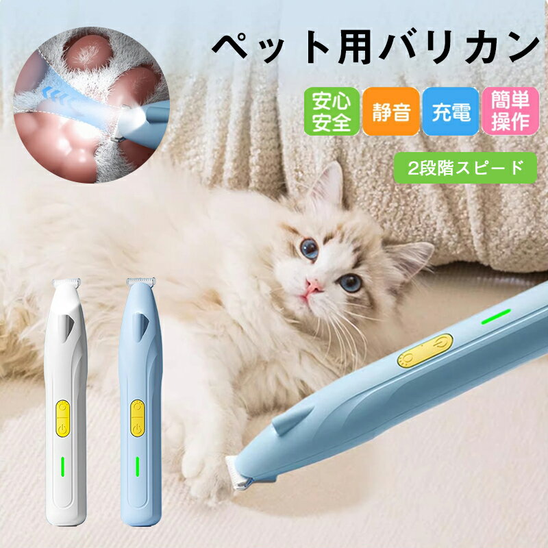 P5+900OFF6/20()23:59ۥڥå Хꥫ ڥåѥХꥫ  ǭ Ų  ǭ ǭѥХꥫ  ­΢...