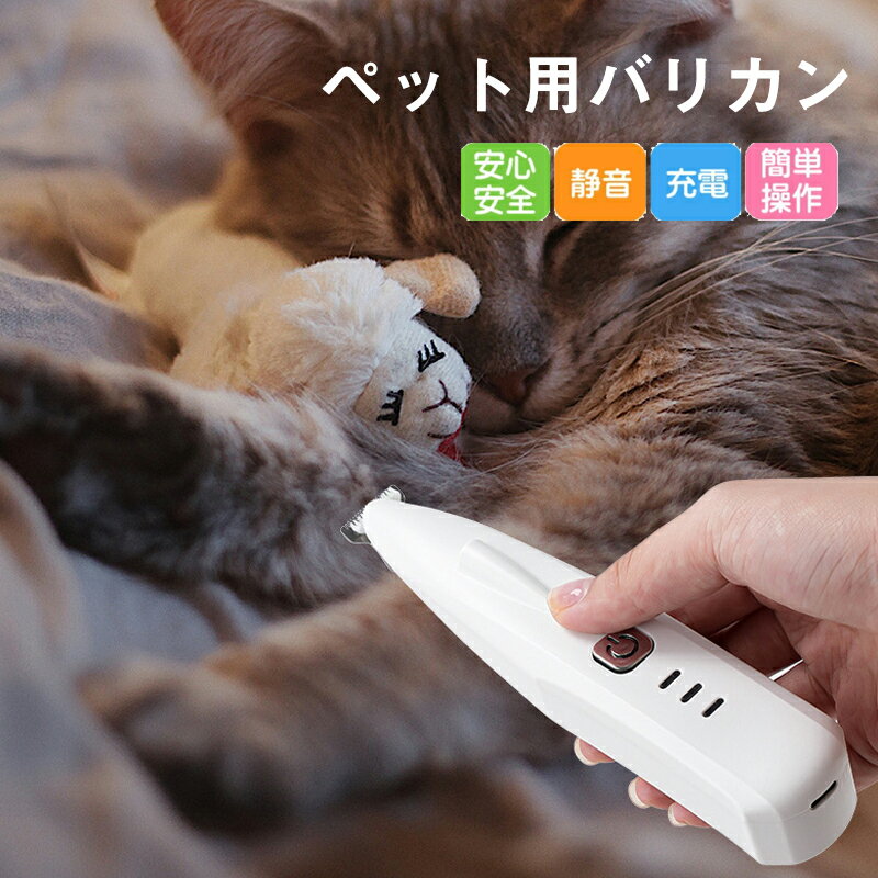ڤ㤤ʪסP2+1000߳2701:59ۥڥå Хꥫ  ǭ  ­΢ USB  ư  Ų ߥ˥Х...