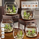 【★24h限定!P5+1000円OFFクーポン】金魚鉢 水槽 飼育水槽 プラスチック 容器 テーブル アクアリウム 水培 大容量 おしゃれ メダカ 鉢 インテリ...