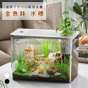【★週末限定:P2+900円OFFクーポン】水槽 金魚鉢 プラスチック 透明 メダカ鉢 おしゃれ 大型 大容量 アクアリウム 金魚飼育 熱帯魚 クラゲ グッピー シュリンプ 目高水槽 魚缸 メダカ用品 軽い 水槽用品 多用途