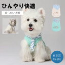 \週末限定!全品P5+10%OFF/犬服 Tシャツ 犬のベスト 可愛い ペット タンクトッ犬服 夏用 ボ 春夏 通気 速乾 伸縮性 人気 ファッション小型犬 中...