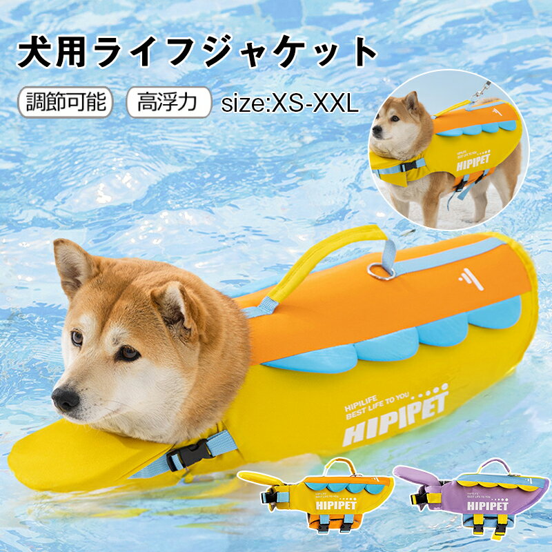 [㤤ʪסP2+ݥ2701:59]襤  ǭ 饤ե㥱å  淿 緿 饤եС ̿ƹ ...