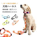 【5%オフ 7/18 23:59まで】光る首輪 LED首輪 リード 光るリード セット 防水 犬 USB 充電 点滅 発光 ライト 調節可能 犬用首輪 ペット用...