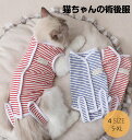 キャットウェア 猫専用術後服 介護服 離乳期 手術後 避妊 生理期 怪我 脱毛保護 ネコキャット術後服 術後着 術後ウェア 傷口舐めない 皮膚 傷口保護 シンプ...