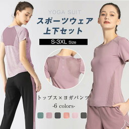 スポーツウェア レディース ヨガウェア 上下セット 2点セット 夏 半袖 Tシャツ ショットパンツ ウェア フィットネス 吸汗速乾 通気防臭 ジョギング 伸縮性 メッシュ おしゃれ