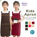 子供用エプロン エプロン 男の子 女の子 ポケット キッズ用エプロン キャンパス 小学生 シンプル 着脱簡単 かわいい 男女兼用 おしゃれ ユニセックス絵画 工...