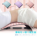 脊柱ストレッチ器具 猫背 矯正 腰マッサージ器 腰椎矯正器 脊椎牽引器 ストレッチ 調整可能 マグネット指圧 姿勢矯正 腰椎マッサージ装置 バックストレッチャー 腰部 多方向牽引 座る 寝たまま シンプル