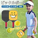 ピックルボール パドル 初心者おすすめ 軽量 ラケット2本 ボール2個付き 樹脂製 静音ボール スポーツ アウトドア レジャー 家族 親子 カップル 初心者 上級者 セット ゲーム フィットネス 耐久性 軽い トレーニング 練習用 運動用