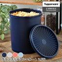 【4/1は全品ほぼP10倍！】保存容器 密閉 タッパーウェア グランプリデコレーターL Tupperware 食品 スタッキング クイックシール 10年保証 乾物 おしゃれ 液体 アルコール キッチン ストック 2750ml 2.75L 密封 プラスチック みそ 調味料