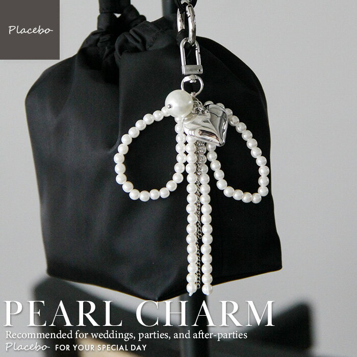 ڴָ10%OFFۥϡդ ܥ ѡ㡼 Хå㡼 ǥ ץ쥼 ե Ͳİ  ꡼ PLACEBO...