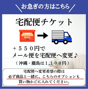 【宅配便へ変更オプション】お急ぎの方はこちらを一緒にご購入ください♪配送方法を「メール便」→「宅配便」へ変更いたします