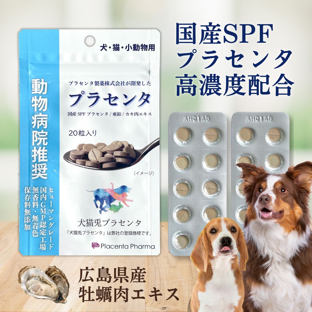 ＼初回クーポンあり／ 国産 犬用 プラセンタ サプリメント 20粒 SPFプラセンタ カキ肉エキス 亜鉛 プラセンタ製薬 タブレット 療法食 免疫 肝臓 腎臓 元気 健康 皮膚 脱毛 疲労 ストレス 心臓 アレルギー アンチエイジング 毛並み 毛艶 予防 動物病院