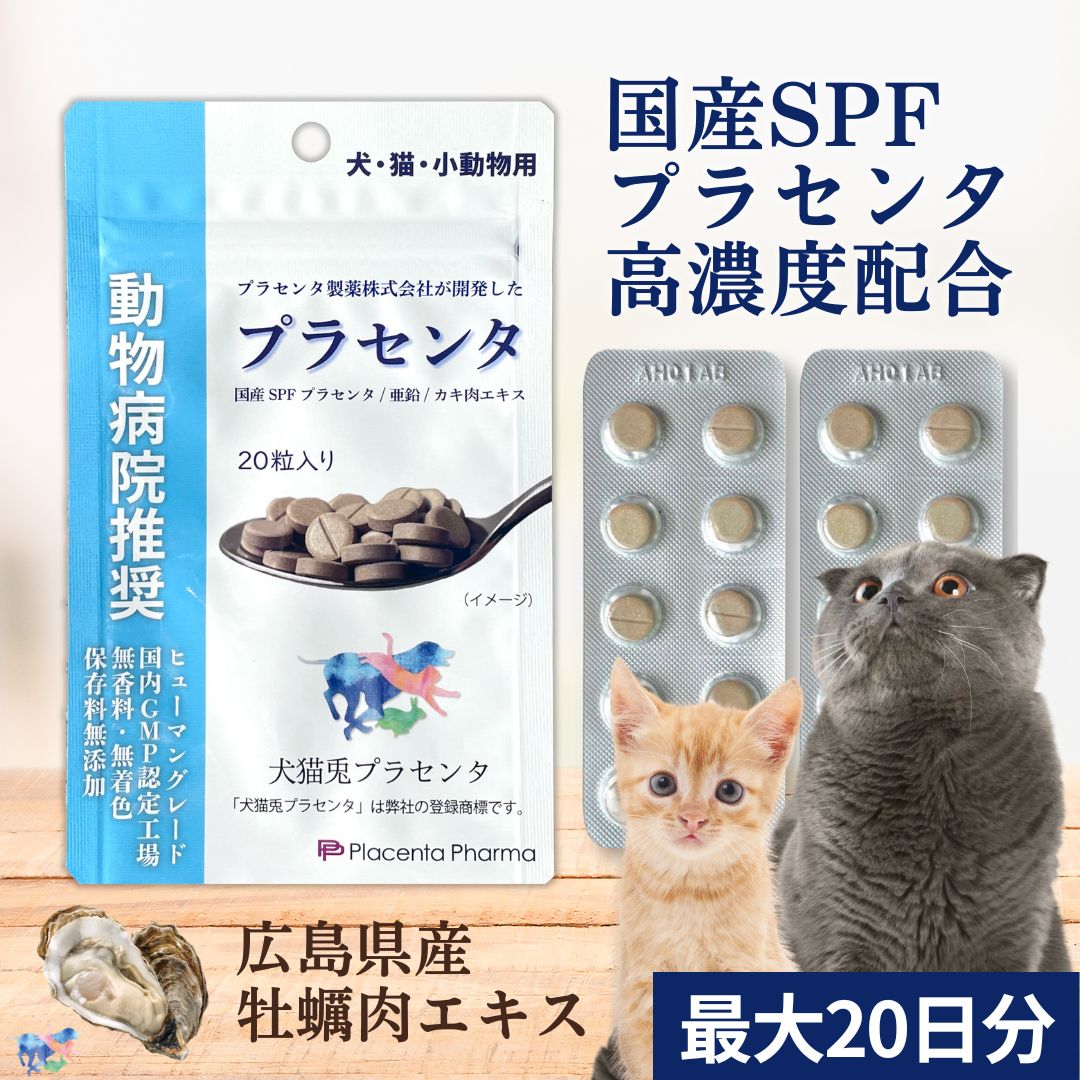 ＼19日からポイントアップ／ 国産 猫 サプリ 20粒 プラセンタ 最大20日分 SPFプラセンタ カキ肉エキス 亜鉛 ペット用 免疫 免疫力 腎臓 腎臓ケア 肝臓 脱毛 疲労 ストレス 消化器 腎臓サポート 食欲 心臓 アレルギー ミネラル 毛並み 毛艶 子猫 老猫 シニア ハイシニア