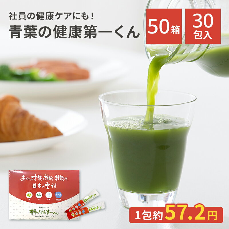 青葉の健康第一くん 50箱セット 青汁 美味しい 飲みやすい 野菜 ベジタブル 食物繊維 食事 食生活 九州産 お茶の様な味 野菜不足 腸内環境 食生活 すっきり 鉄分 ビタミン カリウム DNJ 乳酸菌 粉が溶けやすい スムージー ジュース