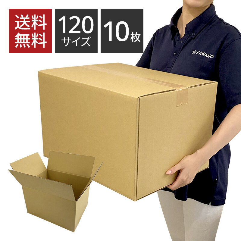 ダンボール 120サイズ×10枚セット 445×340×282 120cm 引っ越し みかん箱 包装用 宅配 収納 メルカリ 配送 配達 フリ…