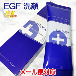 ラ プラージュ EGF モイスチャーリペアフォーム 100g LaPlage EGF配合 洗顔フォーム コラーゲン ヒアルロン酸 敏感肌 乾燥肌 混合肌 エイジングケア 無添加 オールインワン 潤い 保湿 泡パック 基礎化粧品 洗顔クリーム クレイ 洗顔料 アミノ酸 ニキビ シミ 泡立ち メンズ