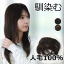 人毛 部分 ウィッグ 女性用 トップ かつら ヘアピース 部分ウィッグ 人毛ヘアピース 人毛100% 自然 部分かつら 部分ピース 脱毛 抗がん剤 薄げ隠し レ...