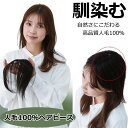 人毛 部分 ウィッグ 女性用 トップ かつら ヘアピース 部分ウィッグ 人毛ヘアピース 人毛100% 自然ブラック 部分かつら 部分ピース 脱毛 抗がん剤 薄げ...
