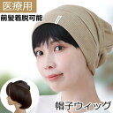 帽子ウィッグ ハーフウィッグ 医療用ウィッグ 人工毛 前髪付き 着脱自由自在 ショート ブラック ダークブラウン メッシュ構造 通気性良好 伸縮ネット採用 軽量...