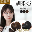 【新商品】人毛 部分 ウィッグ 女性用 トップ かつら ヘアピース 部分ウィッグ 人毛ヘアピース 人毛100% 自然 ダークブラウン 部分かつら 部分ピース 脱...