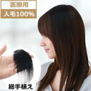 人毛100% ポイントウィッグ ヘアピース 総手植え 23cm 自然ブラック ブラウン エクステ 簡単装着 ピン付き カラー スタイリング自由自在 自然な仕上が...
