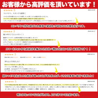 マイクコンデンサーマイクiphoneマイク高音質ゲーム実況ps4スタンドマイク【改良版】Plaisiureux