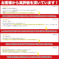 耳かきみみかき電動耳垢クリーナー耳掃除子供用吸引耳イヤークリーナーライトPlaisiureux