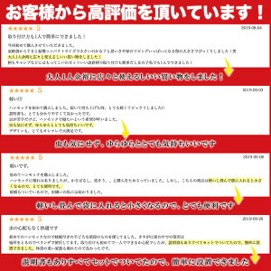 ハンモック 蚊帳 室内 かや 虫よけ 収納袋付き Plaisiureux通販格安セール情報 楽天 通販