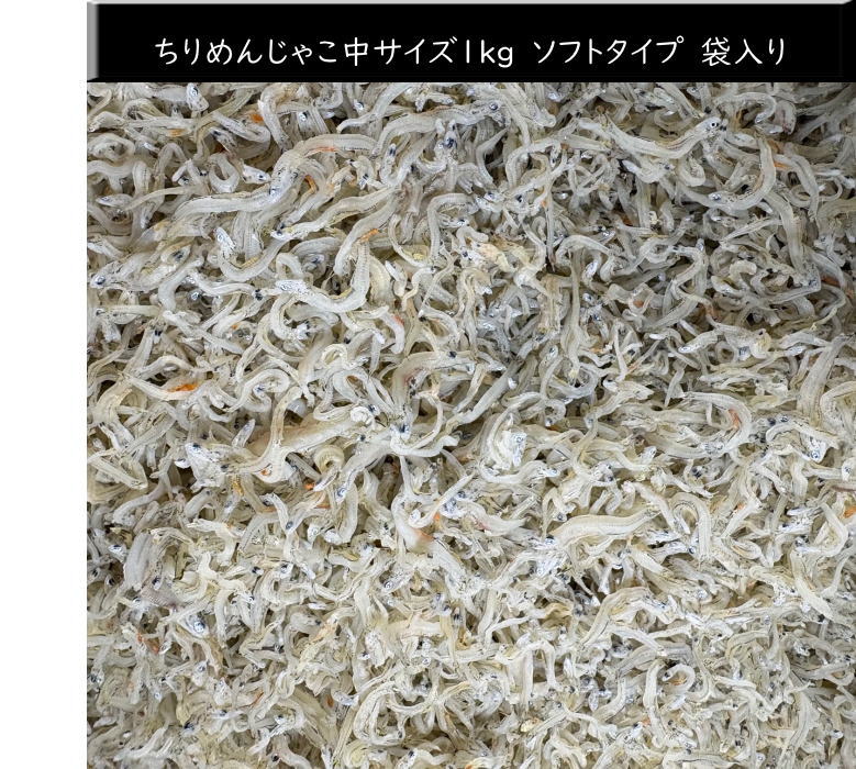オープン記念　ちりめんじゃこ 1kg 　袋入り　兵庫県淡路産 中サイズ　送料無料 ソ...
