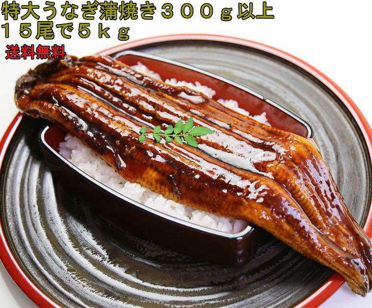 特大 うなぎ蒲焼 5kg （1匹300g以上） 15尾入り オープン記念 送料無料 ジャポニカ...