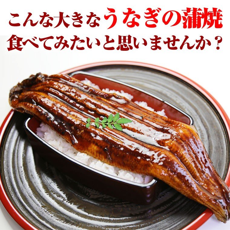 特大 うなぎ蒲焼 5kg （1匹300g以上） 15尾入り オープン記念 送料無料 ジャポニカ種 中国産 袋入り plan-m2-10000014 PLAN M2楽天市場店 サンプル画像3