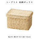 シーグラス 収納ボックス かご カゴ 籠 バスケット 小物入れ 小物収納ケース 収納ケース 収納box おしゃれ かわいい 可愛い アジアン シンプル ナチュラル 編み シーグラス 軽い 軽量 クローゼット ダイニング キッチン ランドリー ディスプレイ用 店舗什器 持ち手 ハンドル(3)