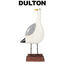 DULTON THE GULLS B