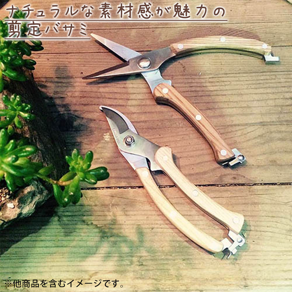 シャープ ヘッド プルナー ダルトン DULTON 剪定ばさみ 剪定バサミ 剪定鋏 花ばさみ 花バサミ 園芸ばさみ 園芸ハサミ はさみ ハサミ 鋏 ガーデニング資材 18-0ステンレススチール おしゃれ ナチュラル シンプル 剪定 フラワーアレンジ 生け花 ガーデニング 庭 plan007-11693307 plank 楽天市場店 サンプル画像2