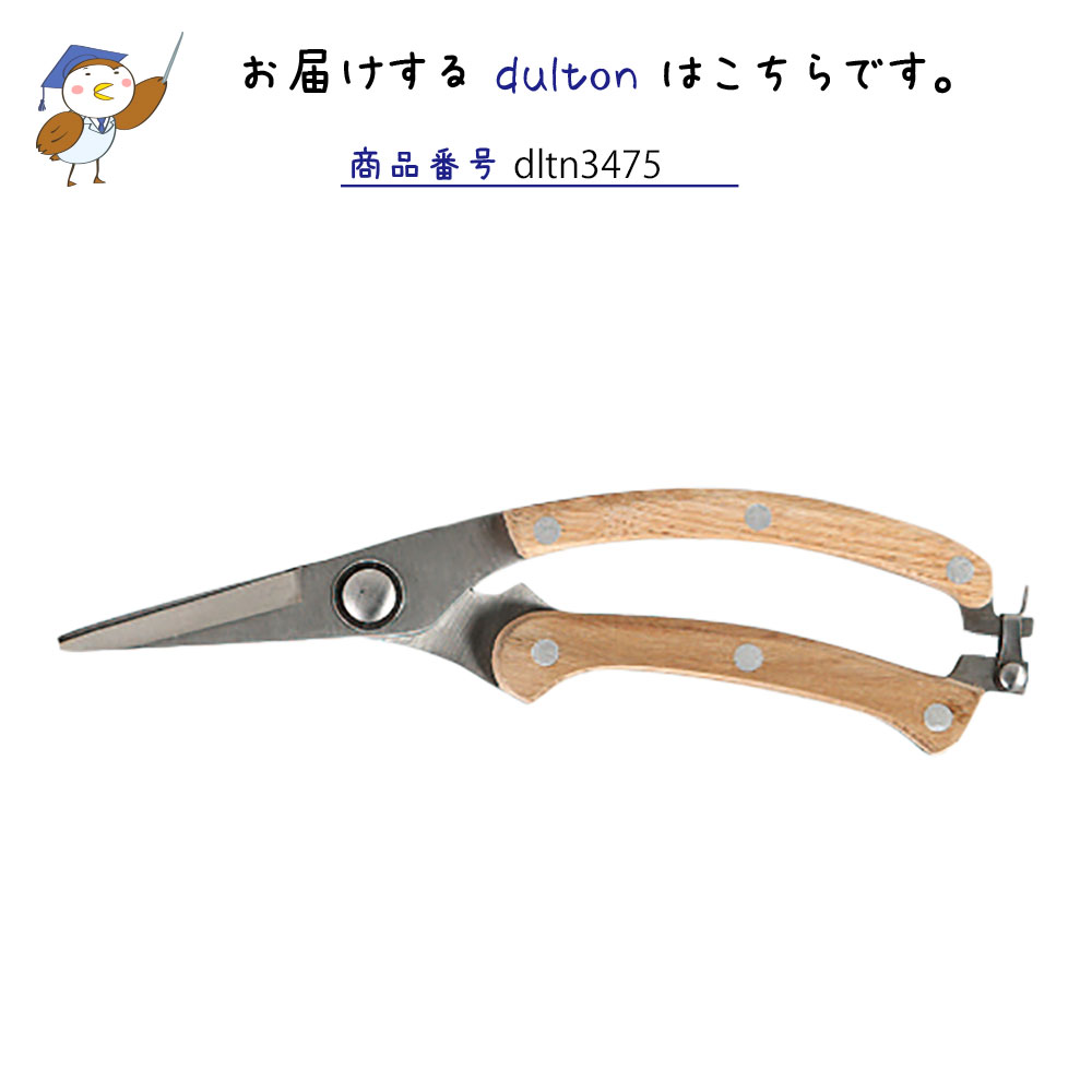 シャープ ヘッド プルナー ダルトン DULTON 剪定ばさみ 剪定バサミ 剪定鋏 花ばさみ 花バサミ 園芸ばさみ 園芸ハサミ はさみ ハサミ 鋏 ガーデニング資材 18-0ステンレススチール おしゃれ ナチュラル シンプル 剪定 フラワーアレンジ 生け花 ガーデニング 庭 plan007-11693307 plank 楽天市場店 サンプル画像3