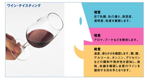 国立原産地名称研究所 INAO テイスティンググラス 210cc 6脚セット セット ワイングラス 赤 白 白ワイン用 赤ワイン用 割れにくい ギフト 種類 wine ワイン セット テイスティング ブルゴーニュ ボルドー テイスティンググラス 父の日