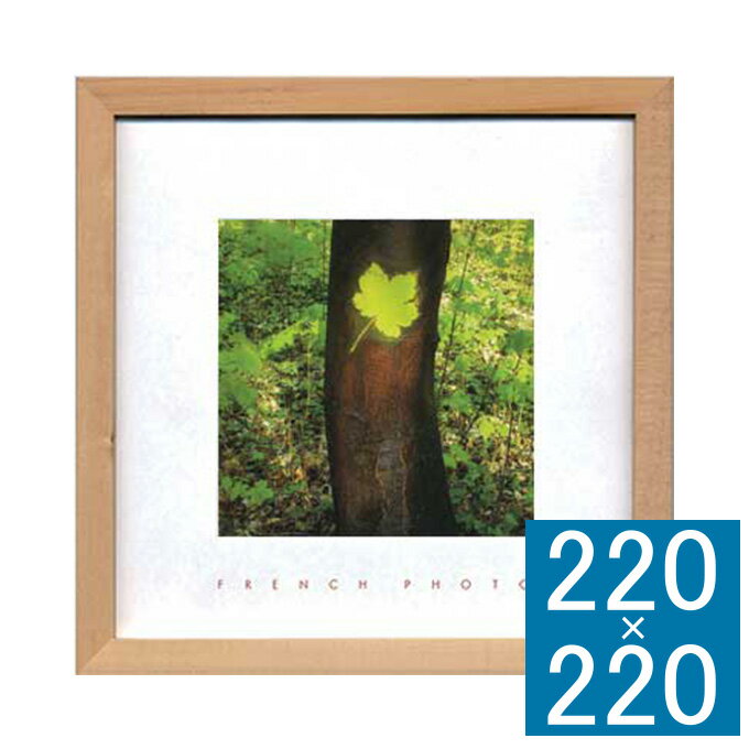フォトアートフレーム French Photography フレーム アートフレーム 壁飾り 額縁 壁掛けインテリア 壁掛けアート フレームアート ディスプレイ...