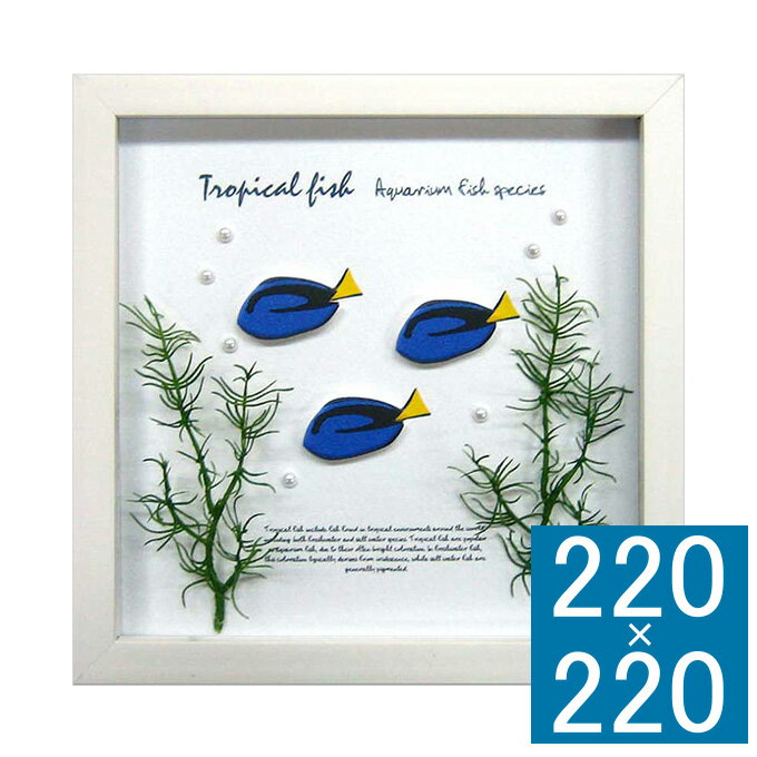 アートフレーム Aqua Frame Blue Tang フレーム アートフレーム 壁飾り 額縁 壁掛けインテリア 壁掛けアート フレームアート ディスプレイフ...