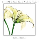 アートパネル Petit Canvas Art Lily flower キャンバスアート 絵 壁掛け 壁飾り アートポスター レントゲン アート 花 ホワイト ...