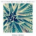 アートパネル Petit Canvas Art リュウゼツラン キャンバスアート 絵 壁掛け 壁飾り アートポスター 緑 グリーン 果肉植物 300×300mm...
