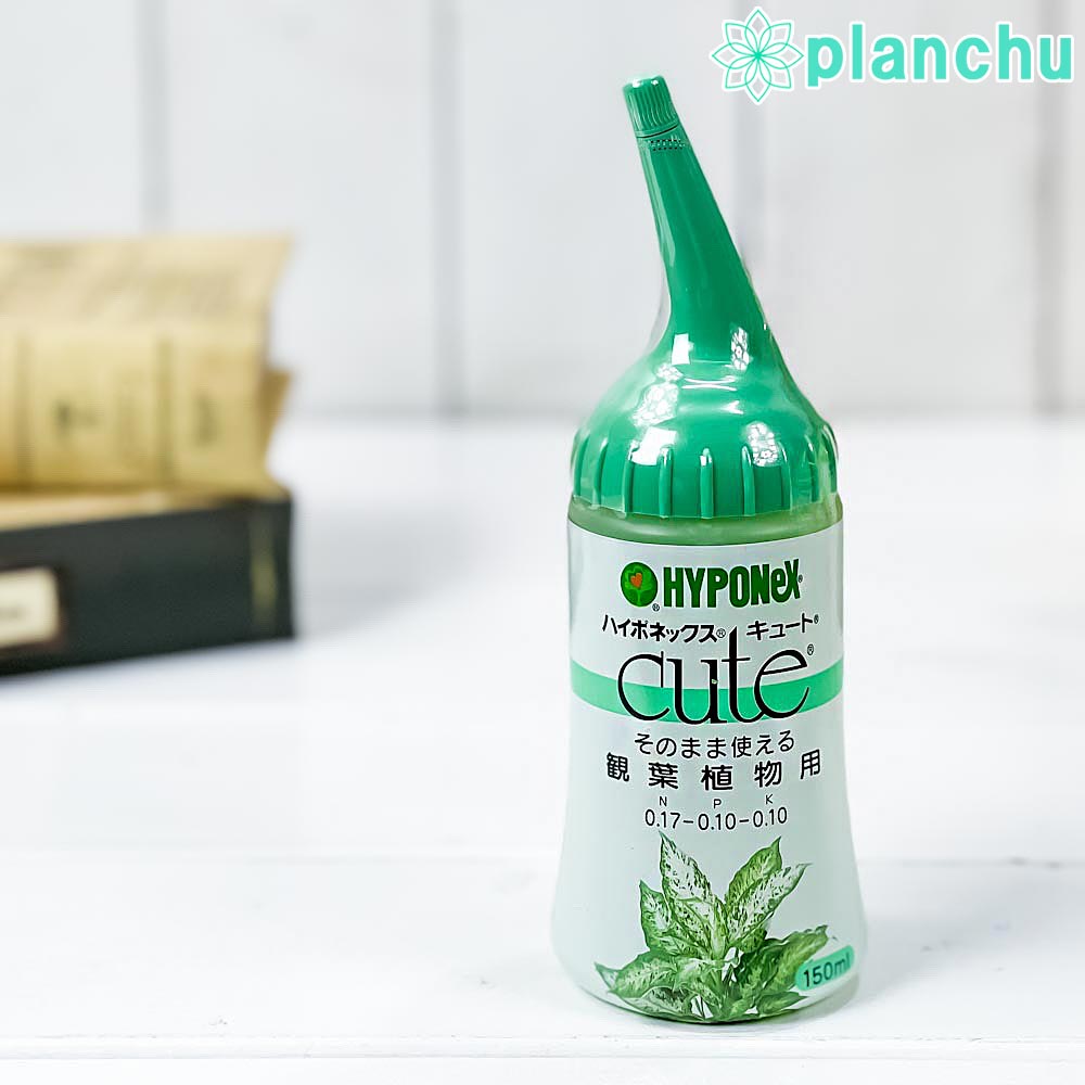 楽天市場 ハイポネックス キュート 観葉植物用 150ml 肥料 Jan プランチュ 楽天市場店